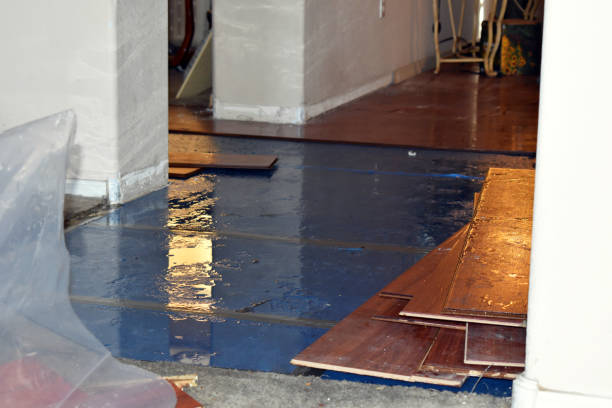 Professional Basement Flood Cleanup technician working in Norwood, LA