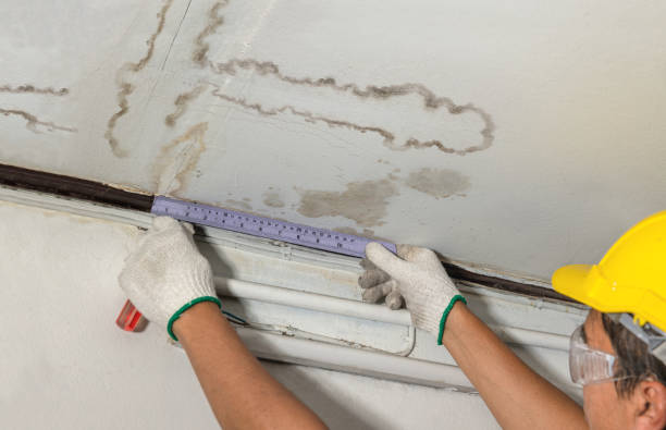 Reliable Basement Flood Cleanup contractor in Norwood, LA by Aqua Guard Water Damage